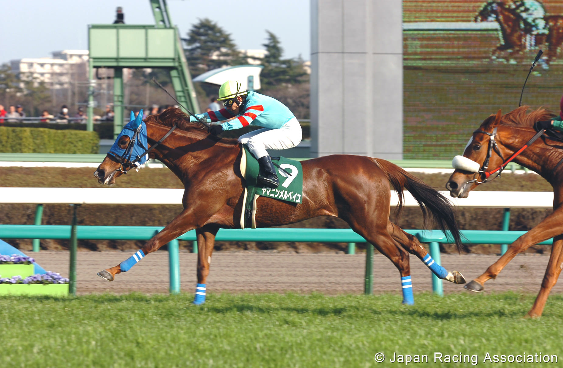 ヤマニンメルベイユ姫が中山牝馬S（GIII）を制覇 © JRA