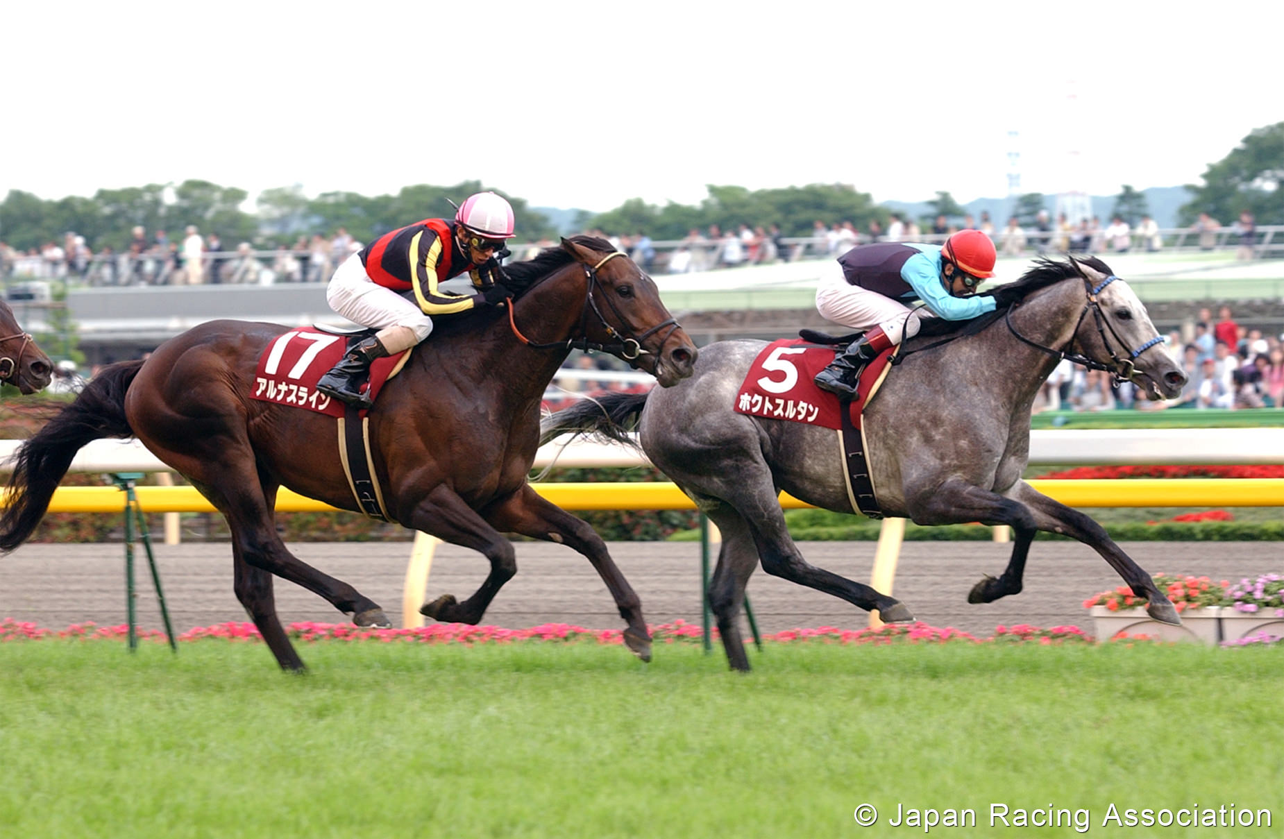 [RACE REPORT] ホクトスルタン閣下が目黒記念（GII）を制覇し、待望のGウィナーに © JRA