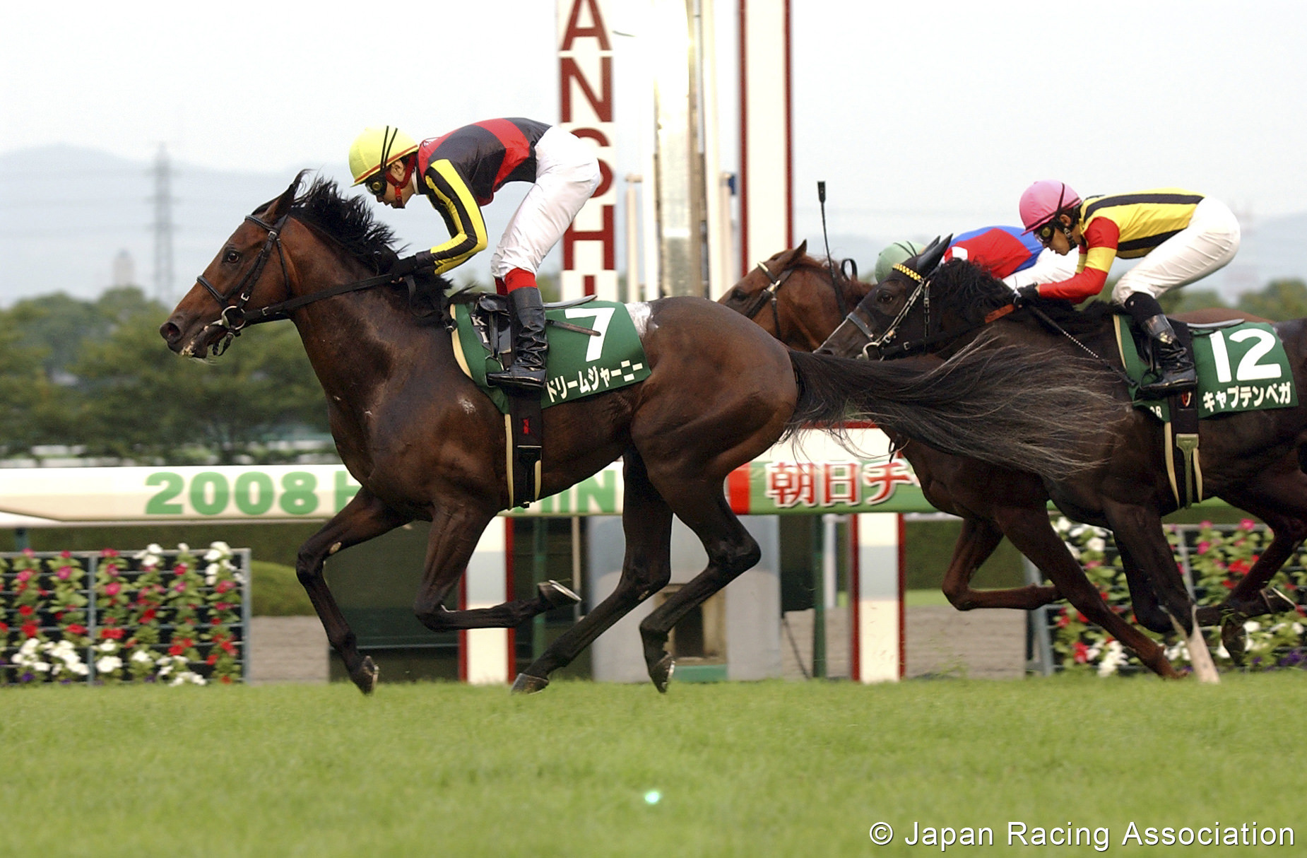 [孫]ドリームジャーニーが朝日チャレンジカップ(GIII)を制覇 © JRA