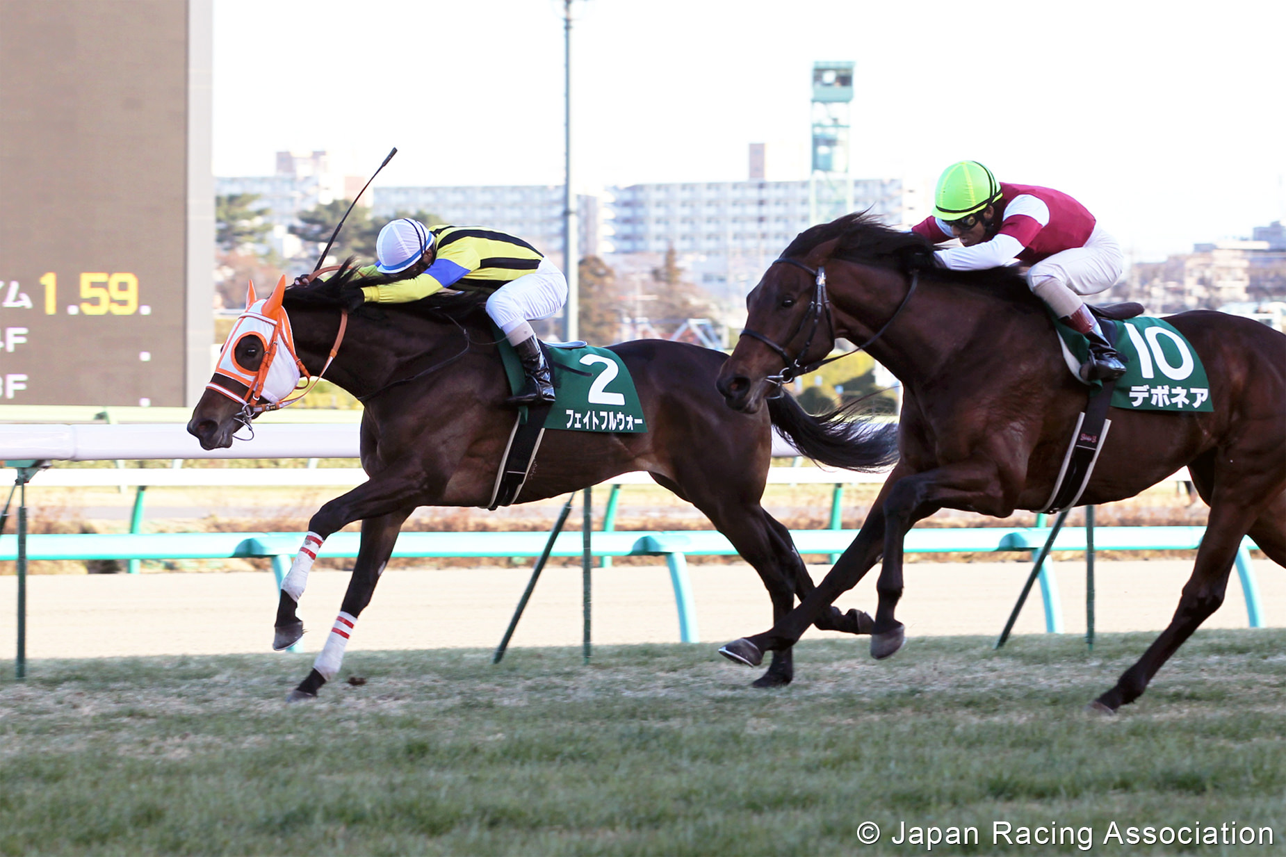 [孫] フェイトフルウォーが京成杯(GIII)で初重賞制覇 © JRA