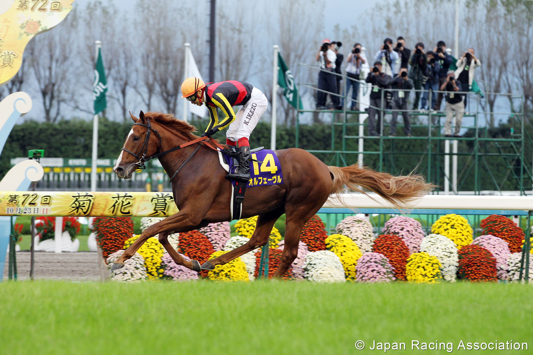 オルフェーヴルが7頭目の栄冠。メジロマックイーンが3冠馬の祖父に © JRA