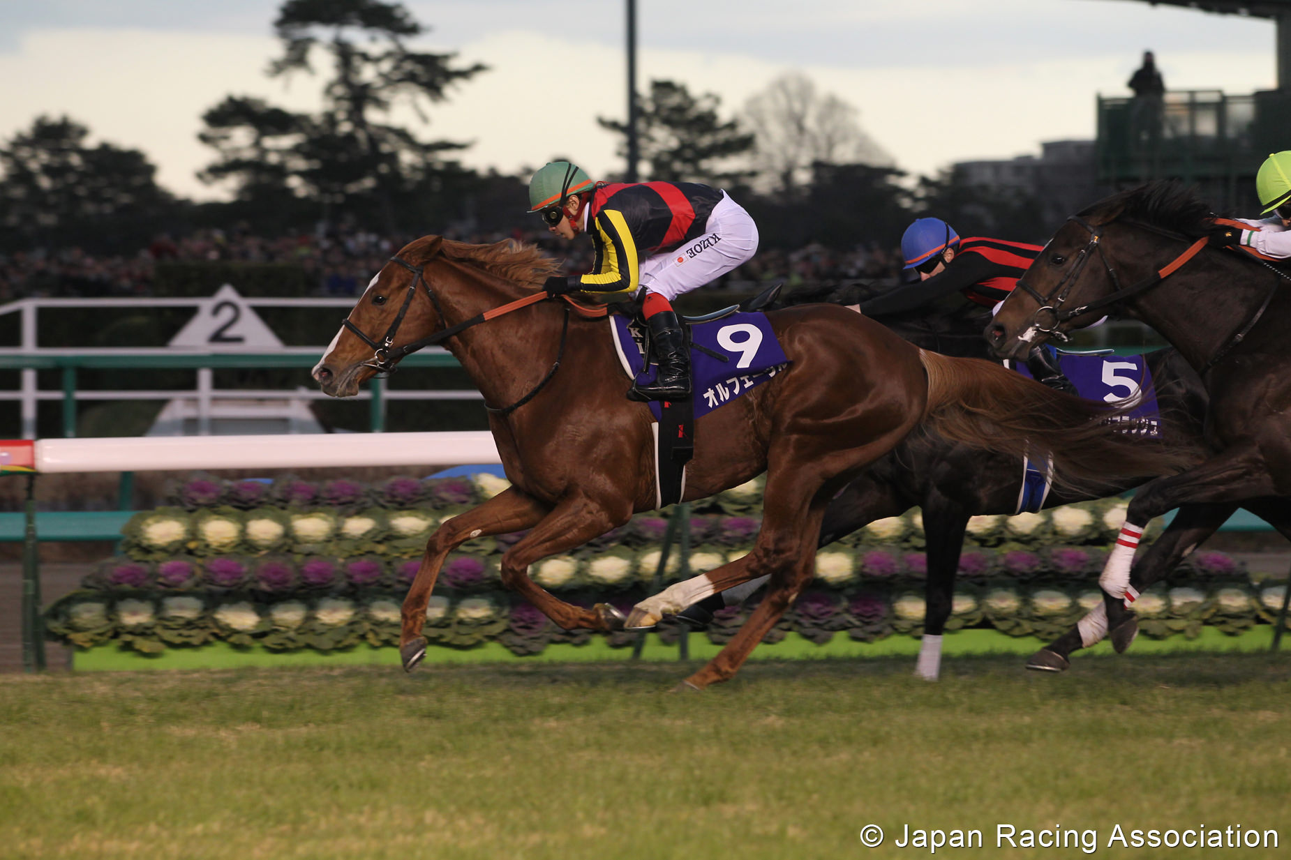 オルフェーヴルが有馬記念を制覇。4冠で2011年を締めくくる © JRA