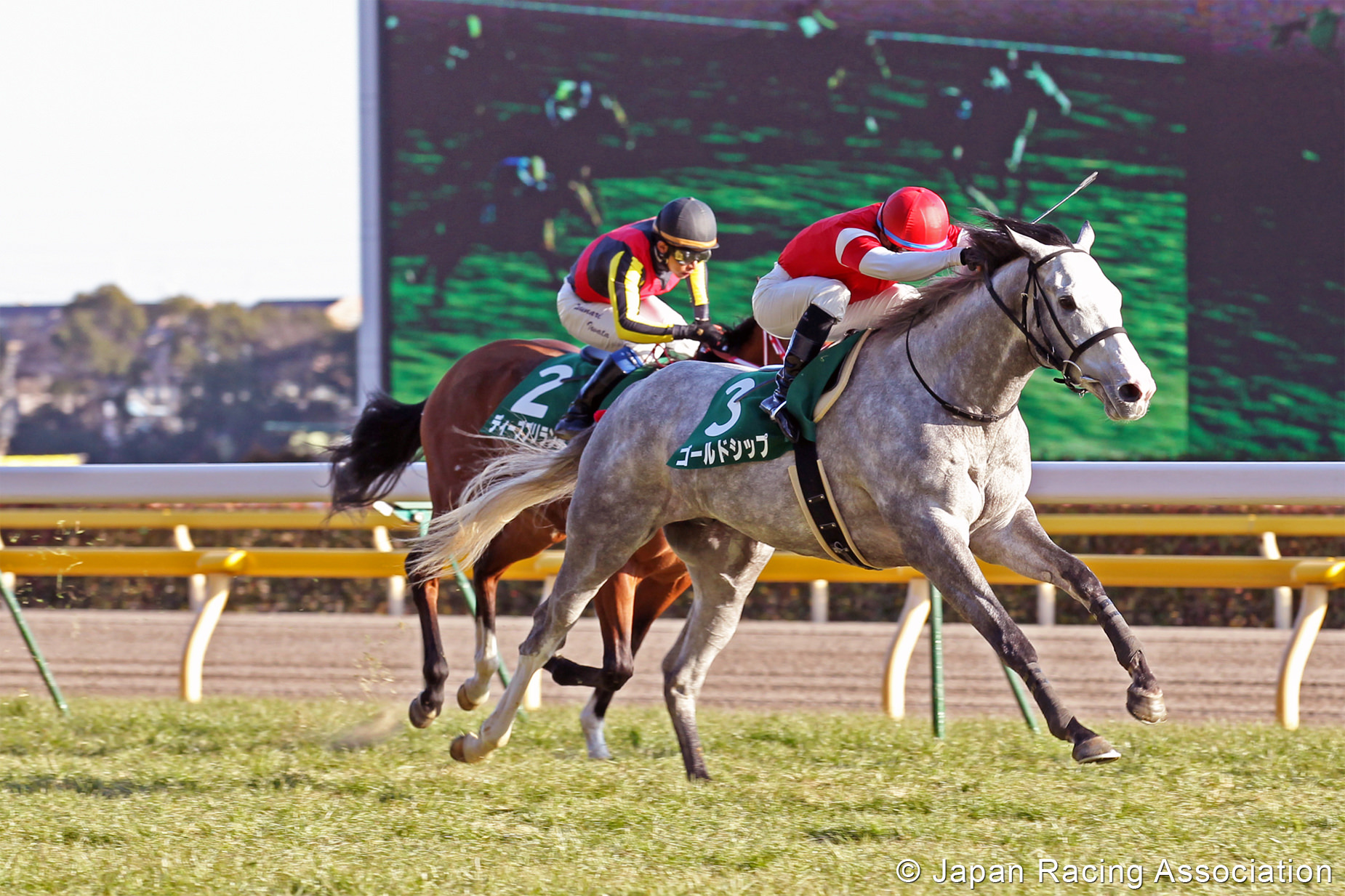 ゴールドシップが共同通信杯(GIII)を優勝 © JRA