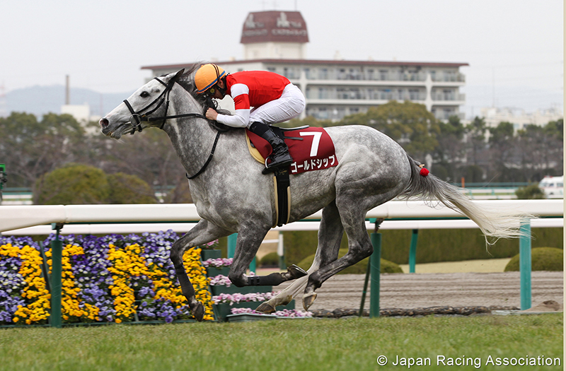 ゴールドシップ 阪神大賞典 © JRA