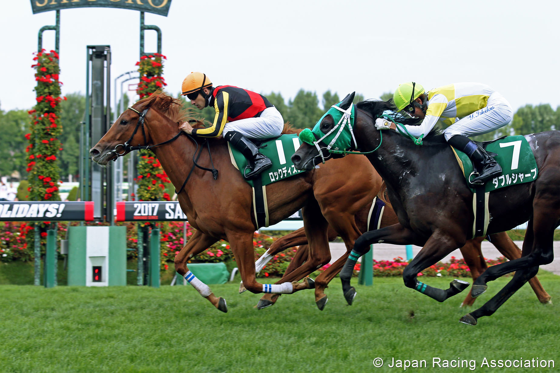 デビューから無傷の2連勝でロックディスタウンが重賞初制覇。オルフェーヴルも産駒初重賞制覇を果たす © JRA