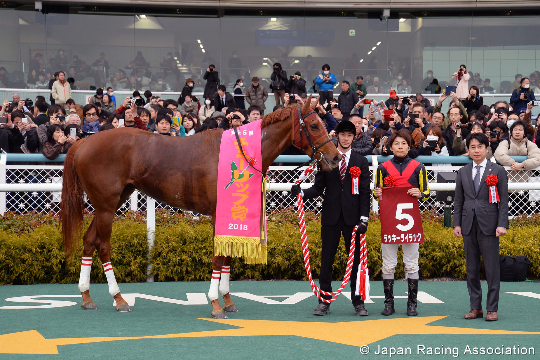 ラッキーライラックが今季初戦のチューリップ賞(GII)を快勝 © JRA