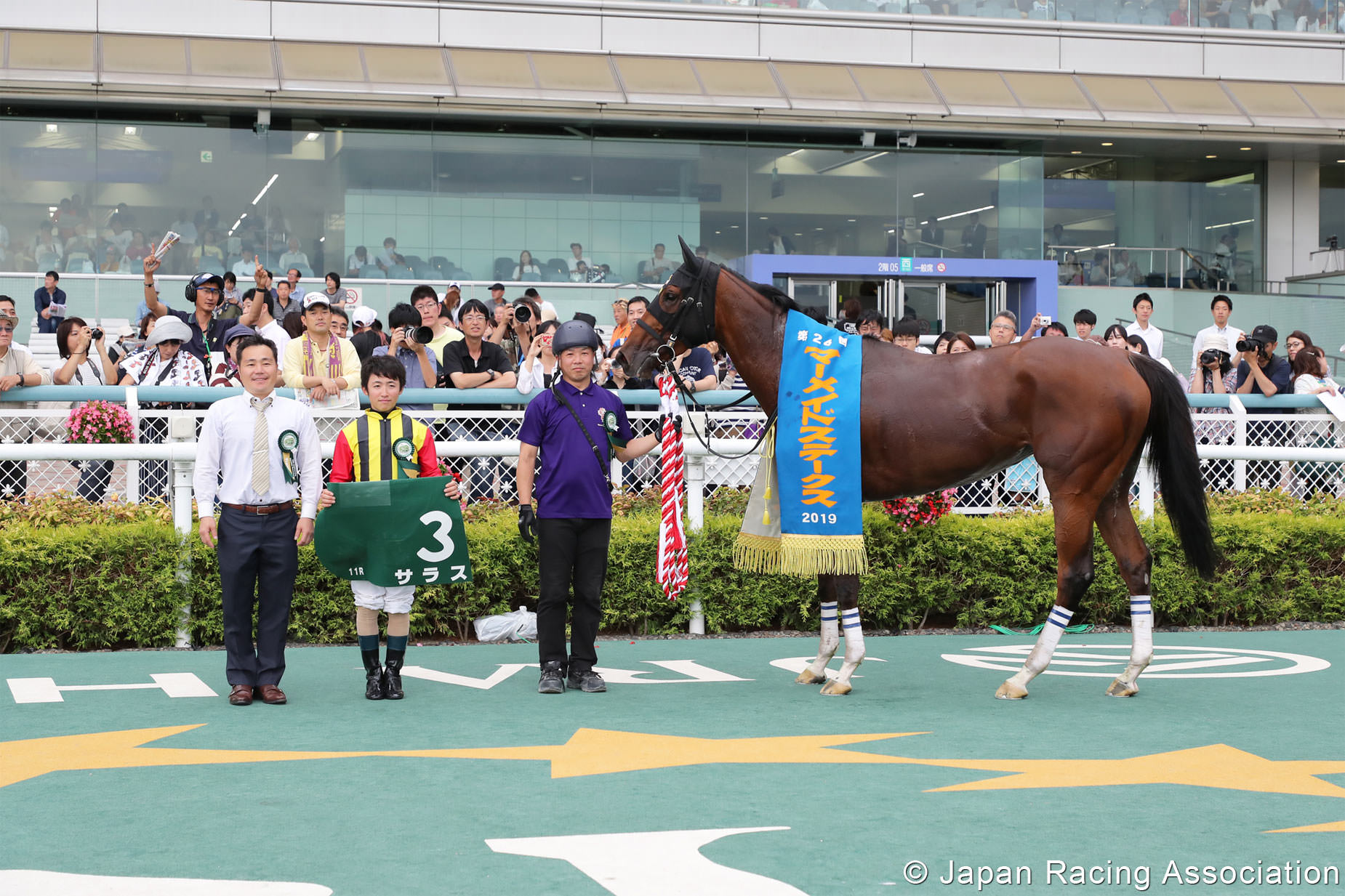 サラス（オルフェーヴル産駒）が後方からの大外一気強襲でマーメイドS(GIII)を制して、初重賞制覇 © JRA