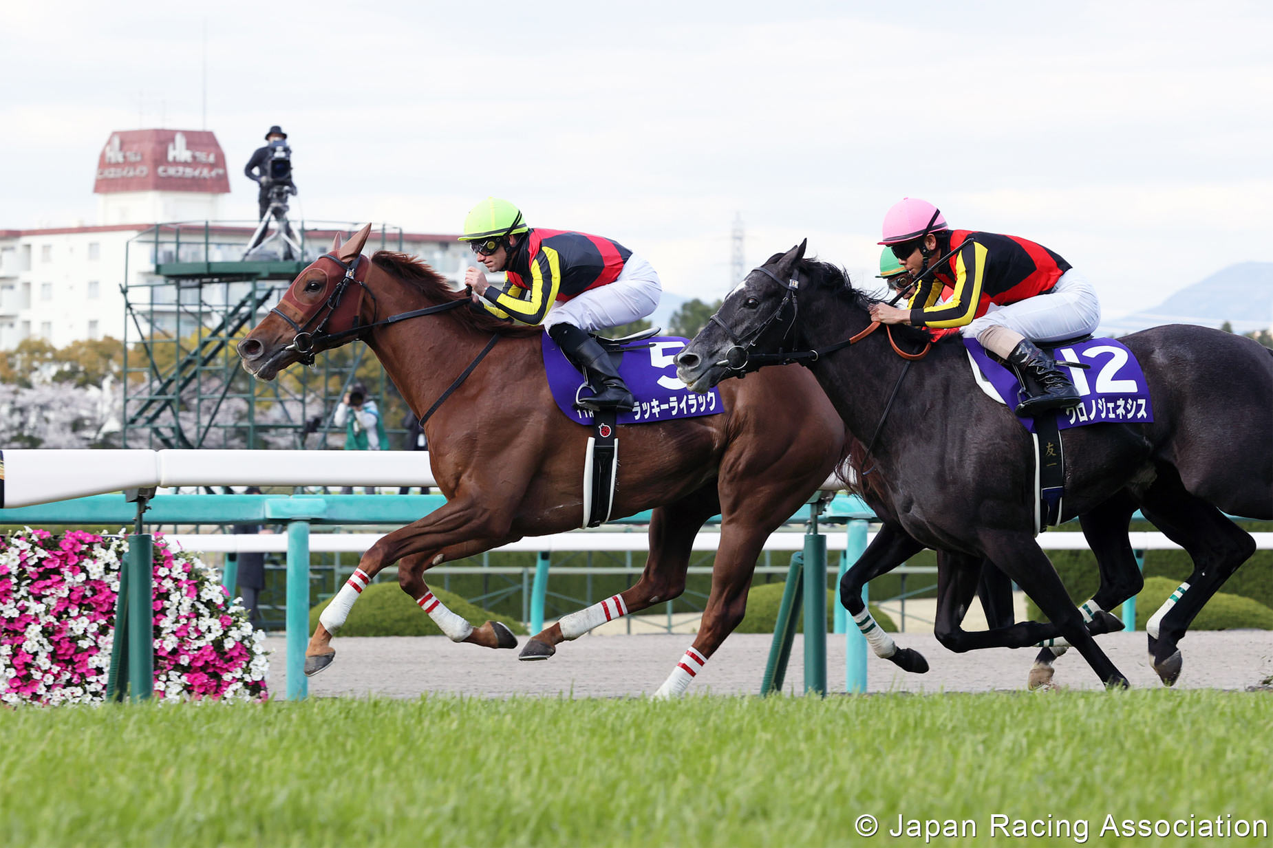 ラッキーライラックが大阪杯(GI)制覇で3っつめのGI タイトルを手中に © JRA