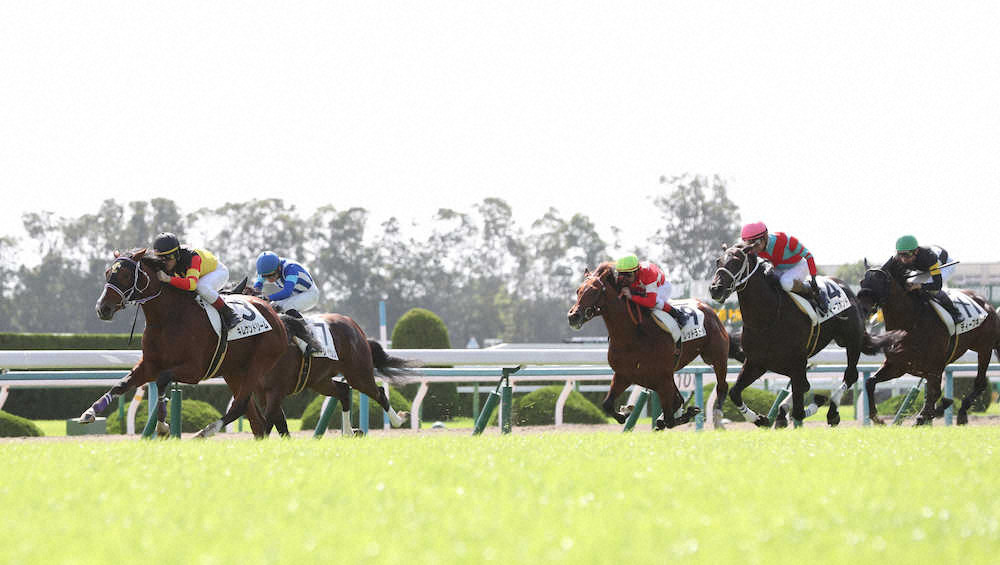 キムケンドリーム（オルフェーヴル産駒）が新馬勝ち