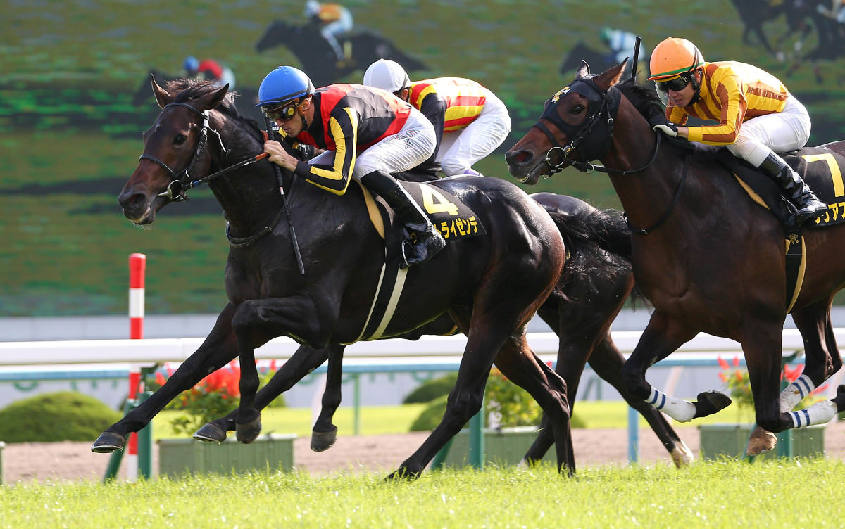 ヴェルトライゼンデ（ドリームジャーニー産駒）が競り合い制してデビュー2連勝 © スポーツ報知