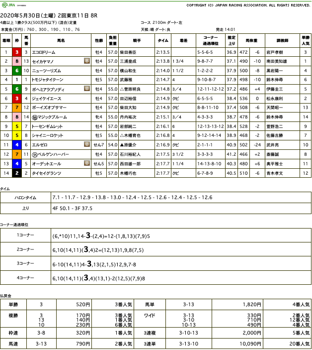 エコロドリーム（ドリームジャーニー産駒）が直線楽に抜け出して2勝目