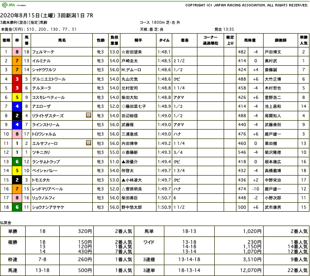 フェルマーテ（ゴールドシップ産駒）が力の違いを見せて初勝利