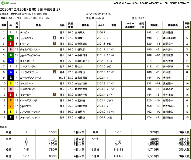 テンピン（メジロマックイーン ひ孫世代、母プリティカポレイ）が直線悠々と抜け出し2勝目