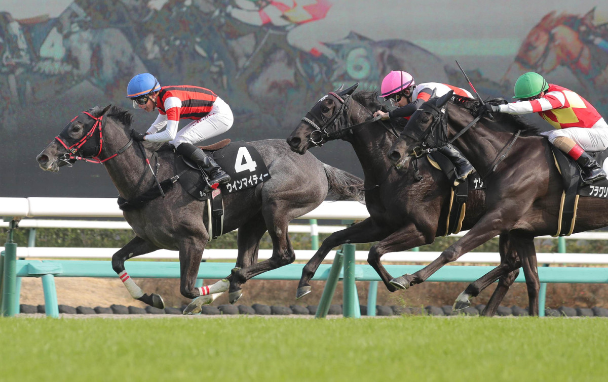 ウインマイティー（ゴールドシップ産駒）が内を貫き2勝目 © スポーツ報知