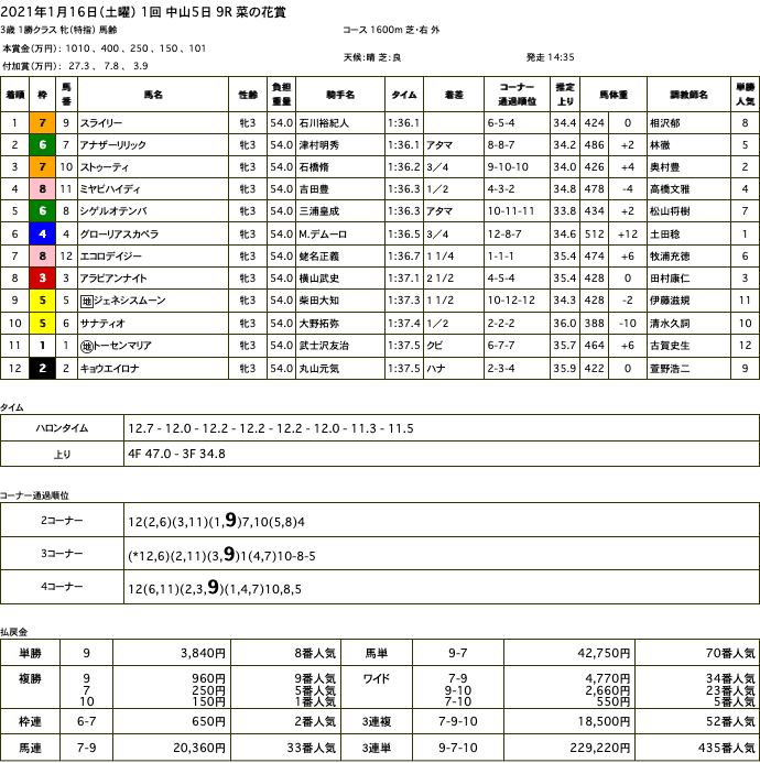 スライリー（オルフェーヴル産駒）が好位からゴール前抜け出し2勝目