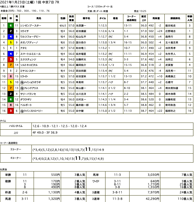 シンゼンブースター（オルフェーヴル産駒）が後方からゴール前差し切り2勝目