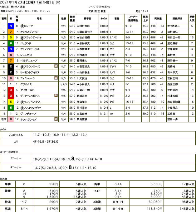 ロジーナ（メジロマックイーン ひ孫世代、母ケープタウンシチー）がJRA 復帰初戦で中央初勝利