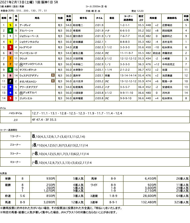 アーダレイ（オルフェーヴル産駒）がハナ差凌いで初勝利