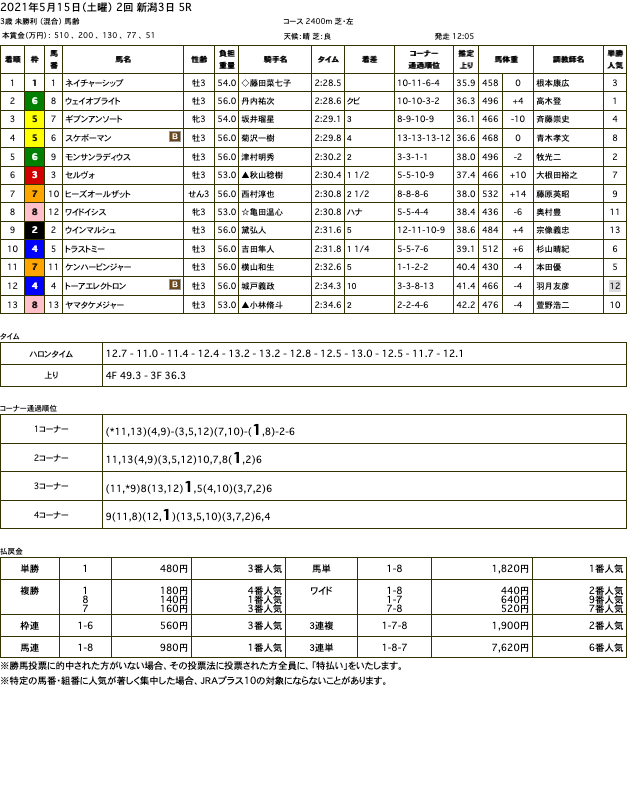 ネイチャーシップ（ゴールドシップ産駒）が直線での競り合い制して初勝利