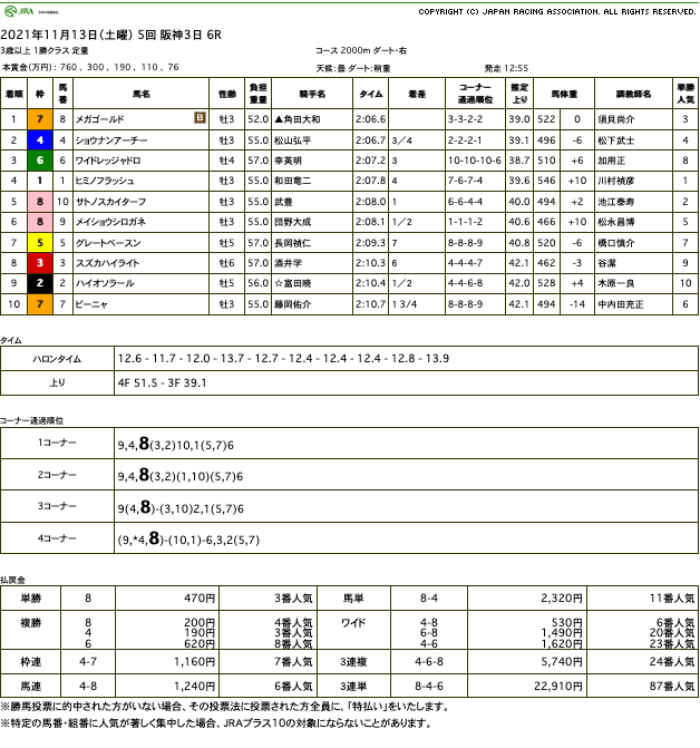 メガゴールド（ゴールドシップ産駒）が競り合い制して2勝目