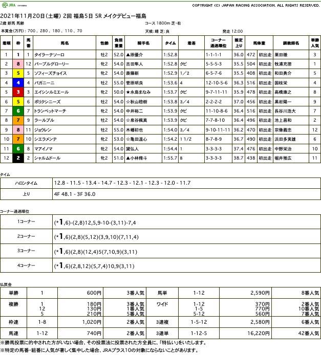 タイラーテソーロ（ゴールドシップ産駒）が直線二枚腰で後続退けデビュー戦を勝利