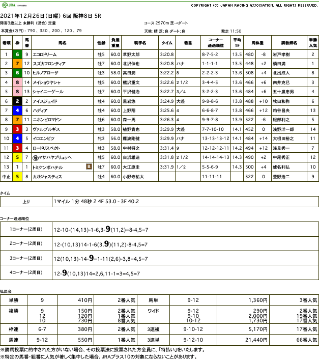 エコロドリーム（ドリームジャーニー産駒）がジャンプレース初勝利