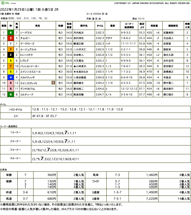 シーグラス（ゴールドシップ産駒）が競り合い制して初勝利