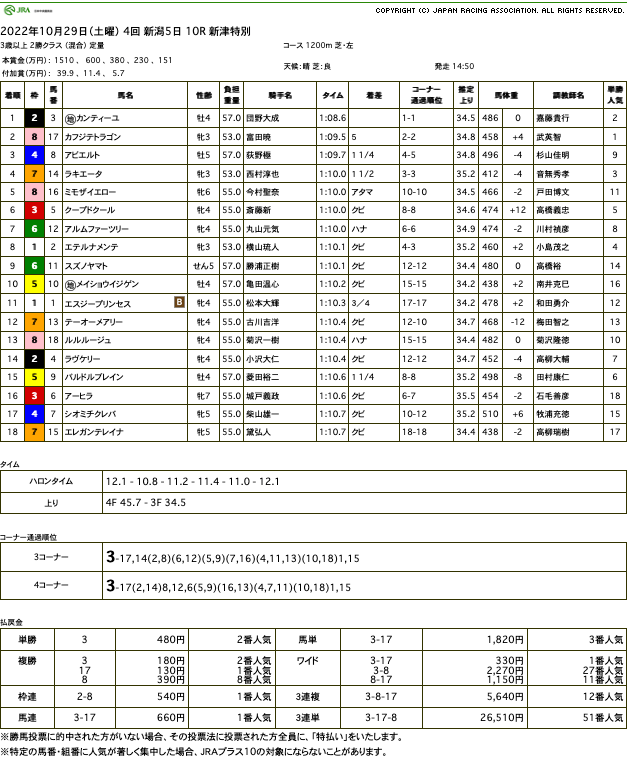 カンティーユ（オルフェーヴル産駒）が圧勝で中央転入初勝利