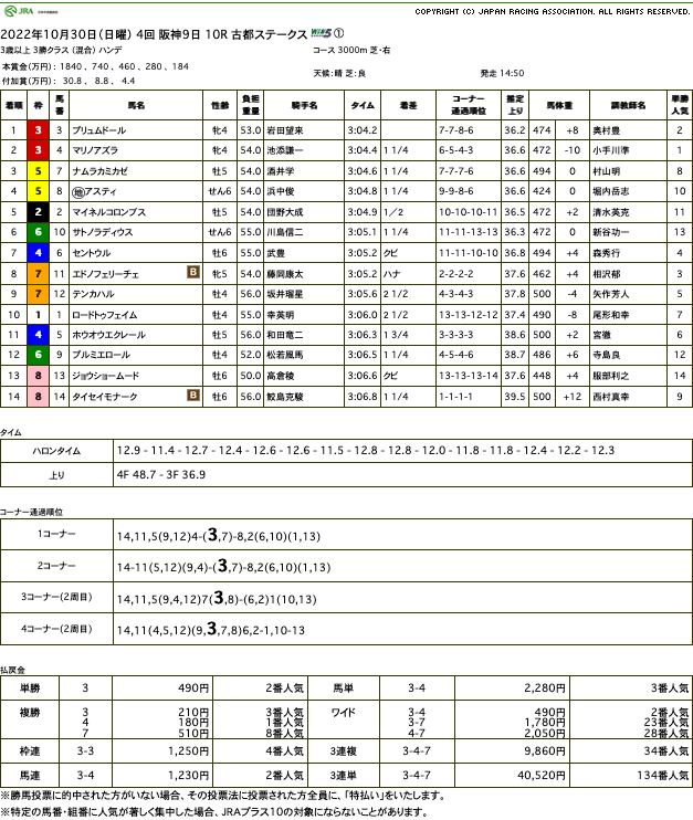 プリュムドール（ゴールドシップ産駒）が直線で抜け出し快勝