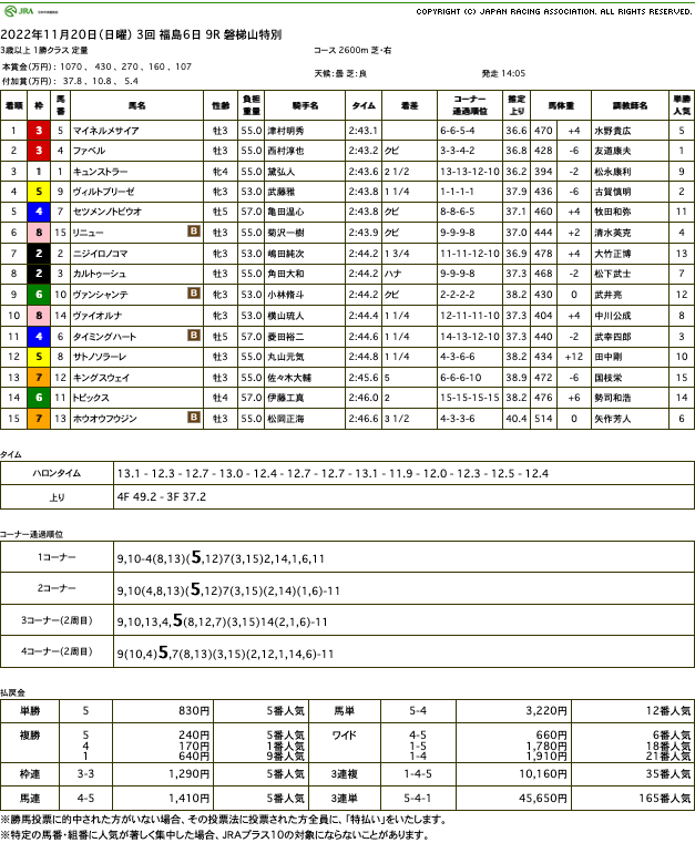 マイネルメサイア（ゴールドシップ産駒）が直線の競り合い制して2勝目