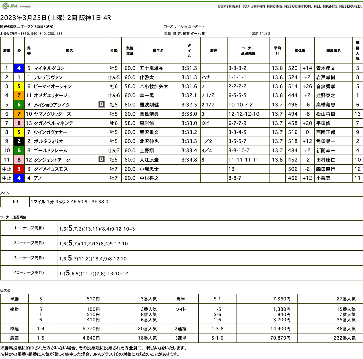 マイネルグロン（ゴールドシップ産駒）がジャンプオープンレースを制して2勝目