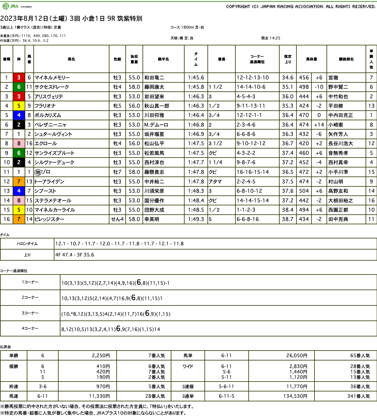 マイネルメモリー（ゴールドシップ産駒）が直線鮮やかに差し切って2勝目