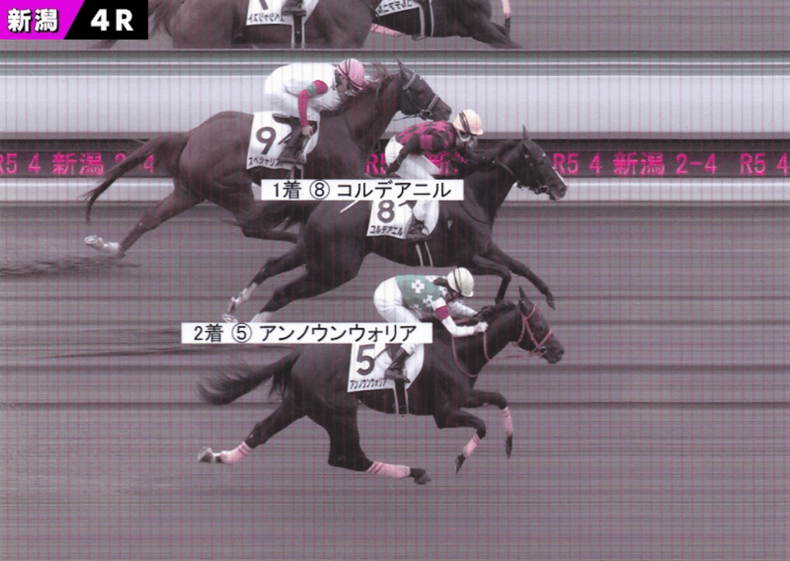 母 父 メジロ マックイーン