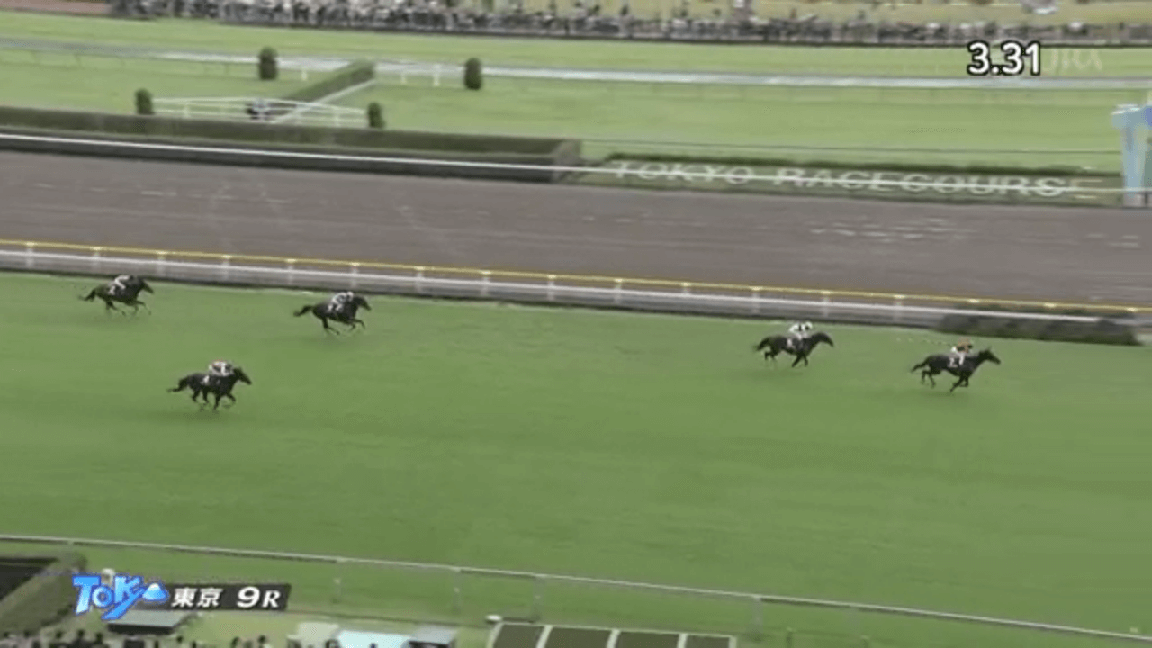 マイネルグロンが3連勝で東京ハイジャンプを制覇。父ゴールドシップとともに、ジャンプ重賞初勝利を果たす