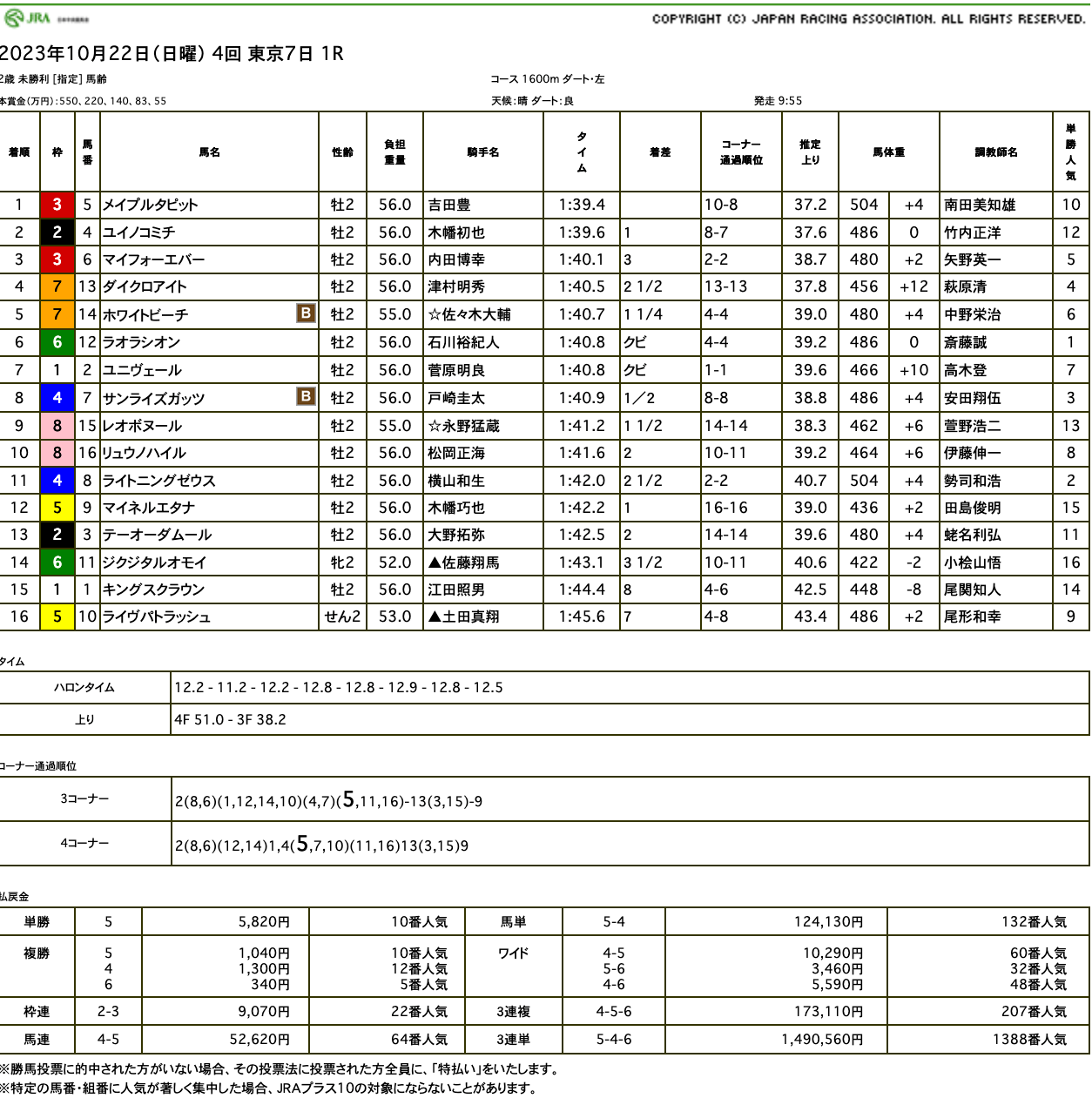 メイプルタピット（母ディヴィナライン　母の父オルフェーヴル）がゴール前抜け出し初勝利