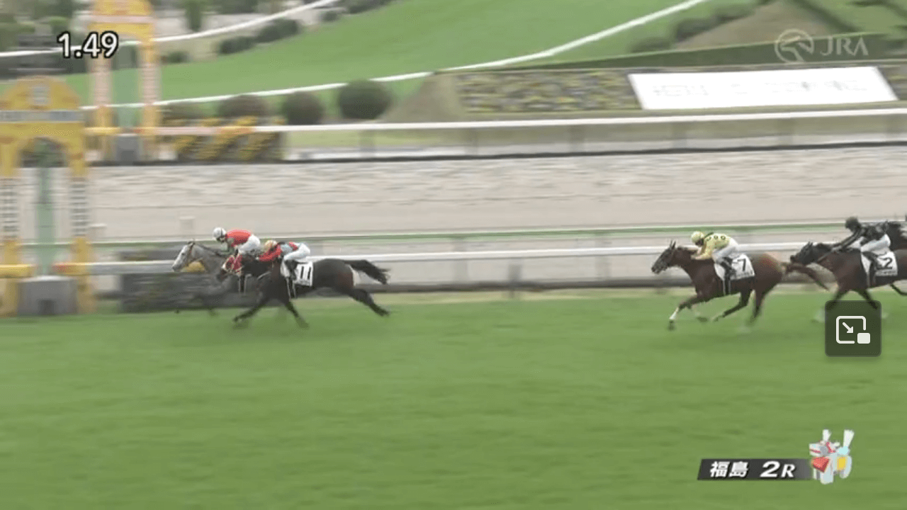 マイネルヴォルムス（ゴールドシップ産駒）が最内から差し切って初勝利