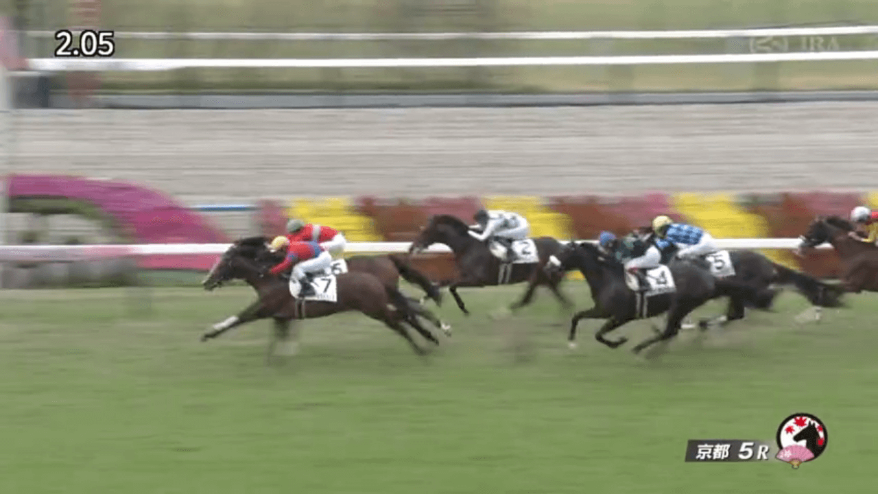 アドミラルシップ（ゴールドシップ産駒）がゴール前競り勝って新馬勝ち