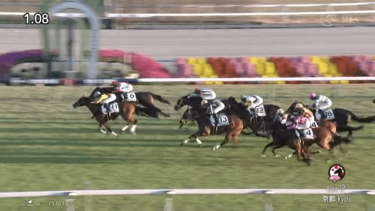 マメコ（リヤンドファミユ産駒）が直線競り勝ち連勝で3勝目