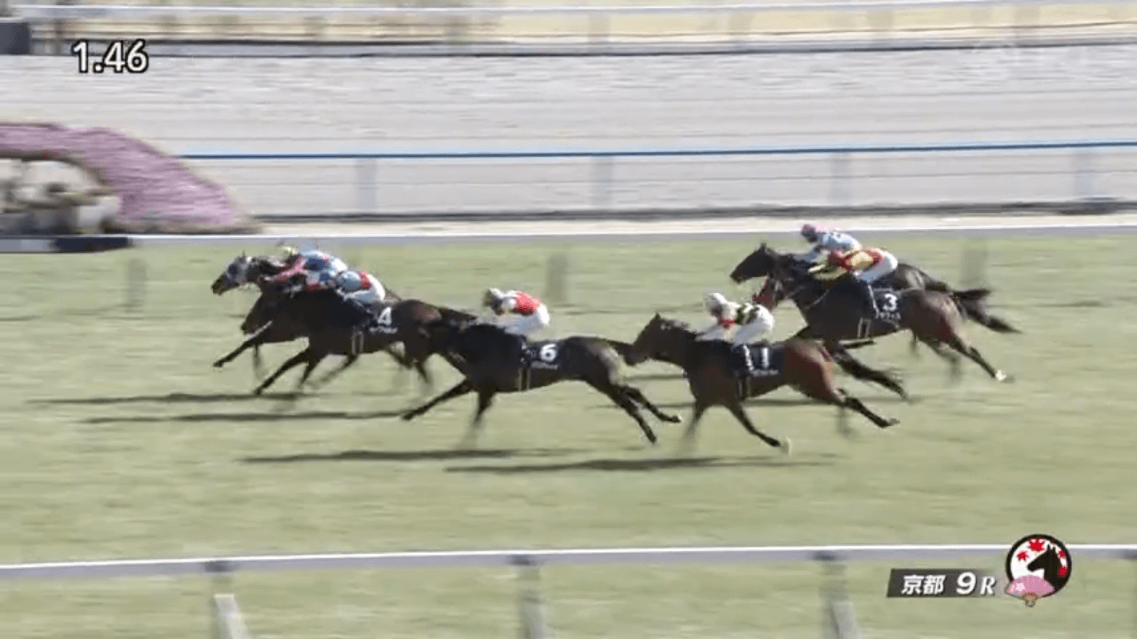 メイショウタバル（ゴールドシップ産駒）が直線後続の追撃を振り切って2勝目