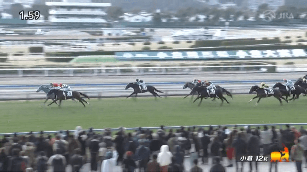 マイネルフランツ（ゴールドシップ産駒）が4コーナー進出から直線の競り合い制して2勝目
