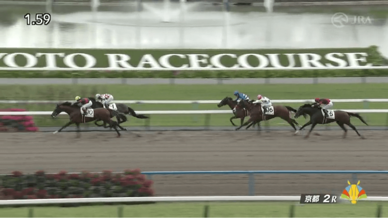 メリトーリアス（オルフェーヴル産駒）が直線大外から豪快に差し切って初勝利