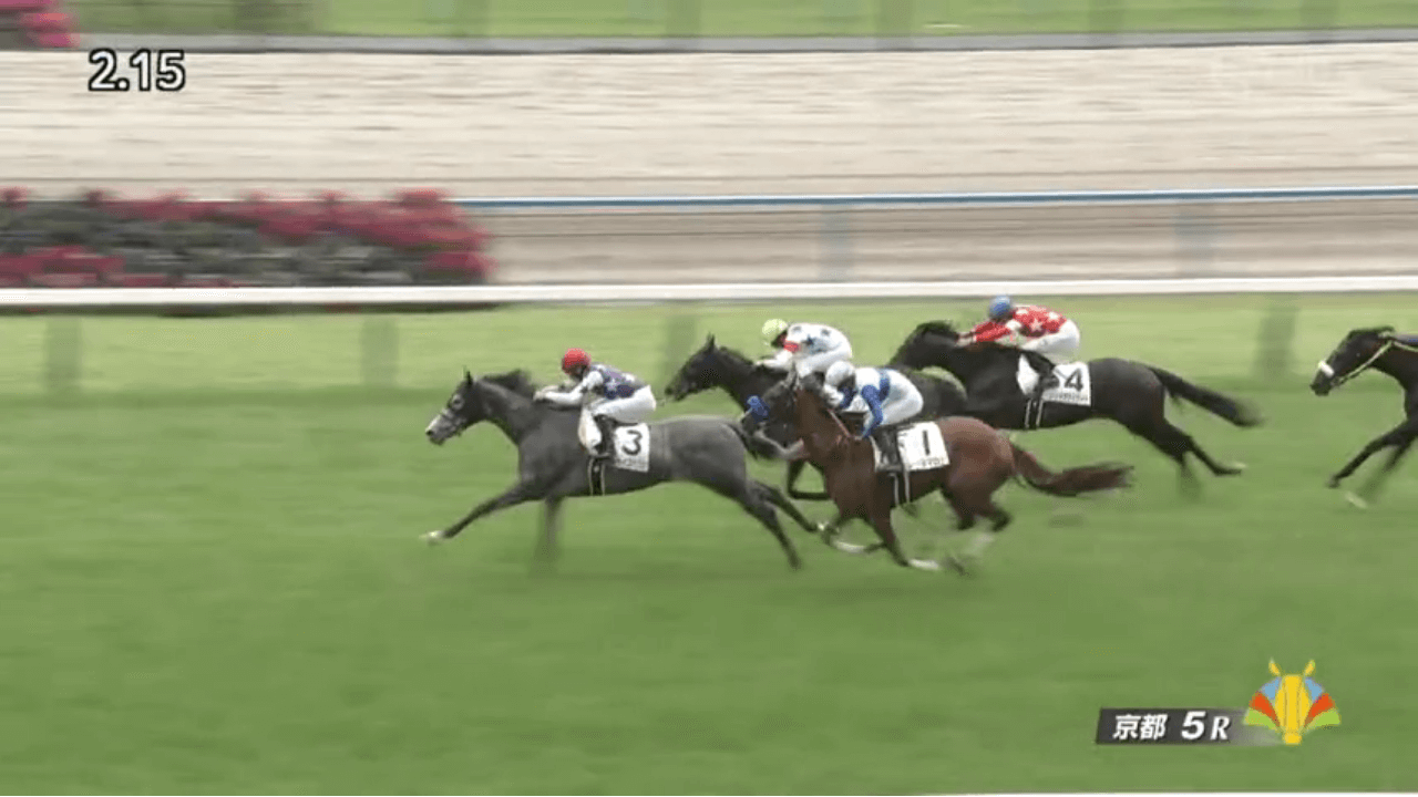 サンライズバブル（ゴールドシップ産駒）が既走馬相手にデビュー戦を勝利