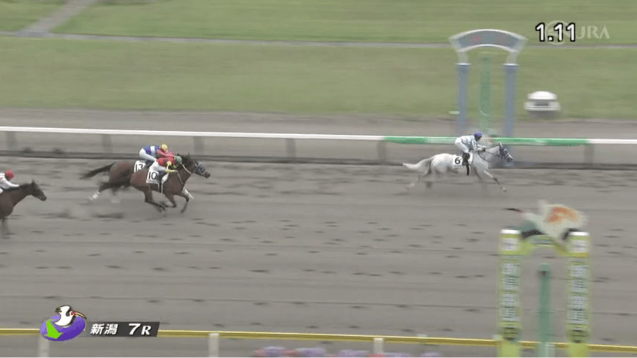ホワイトターフ（ゴールドシップ産駒）が人気薄を覆す鮮やかな逃走で約3年9月ぶりの勝利