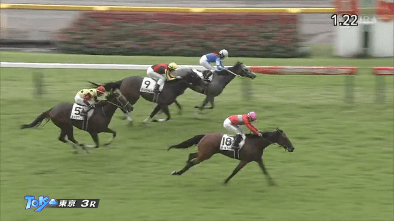 メイリー（母レイロー　母の父オルフェーヴル）が直線大外からゴール前差し切って初勝利