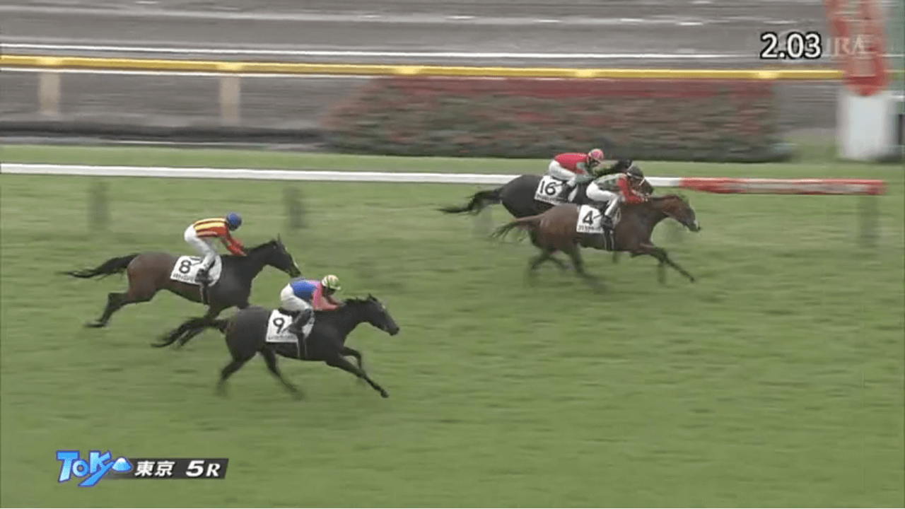 コスモアチーブ（ゴールドシップ産駒）がゴール前の競り合い制して初勝利