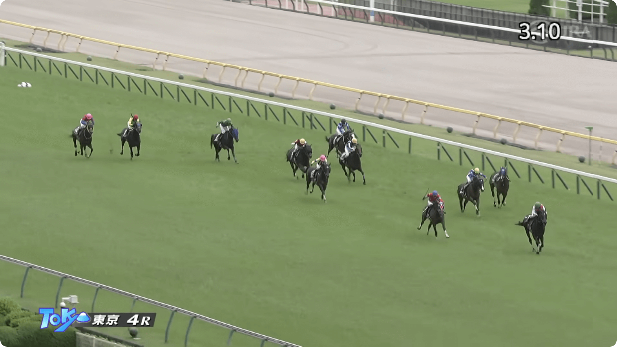 ロスコフは引っかかって苦しい競馬も、直線で粘り腰見せて上々の復帰戦（東京ジャンプステークス結果）