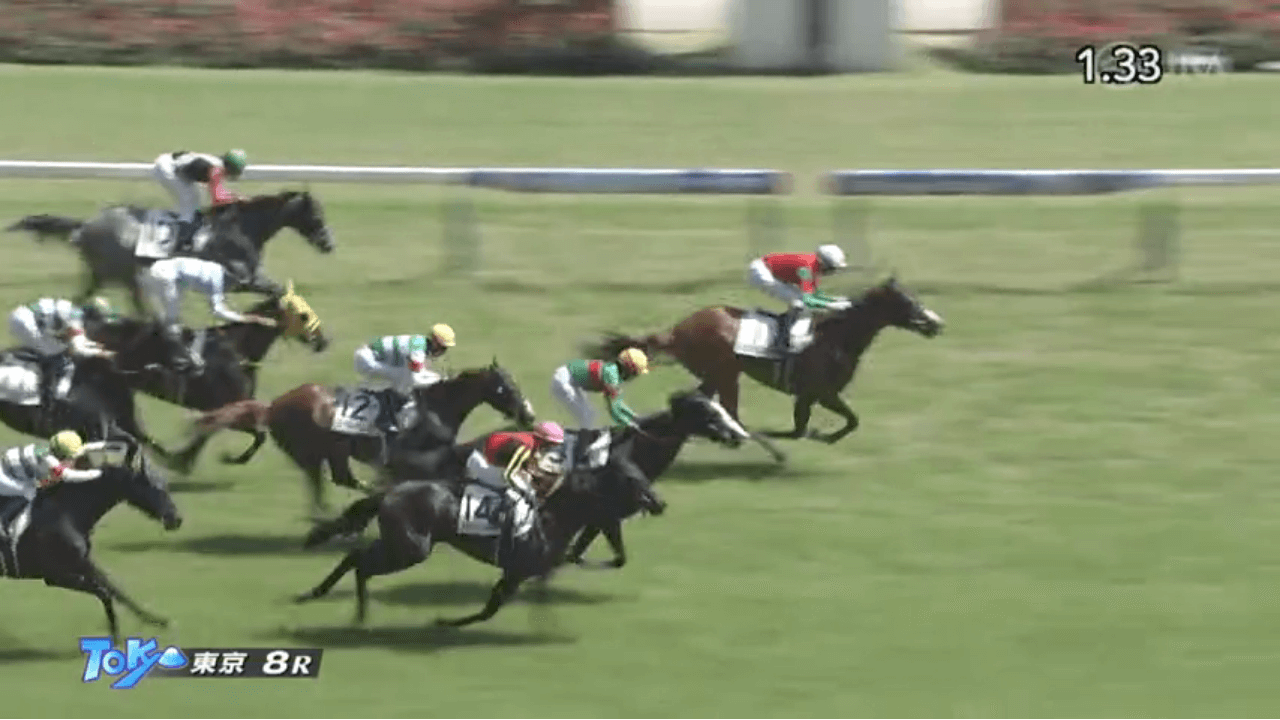 マイネルフォルツァ（ゴールドシップ産駒）がゴール前抜け出し2勝目