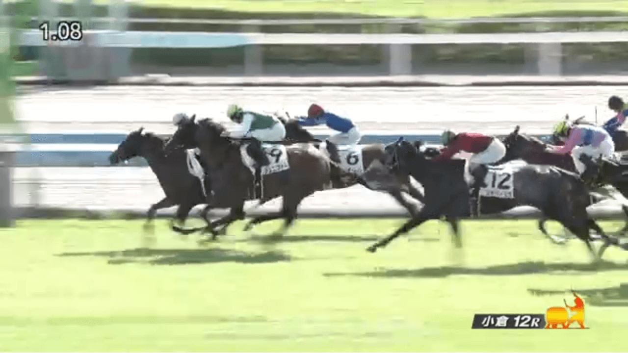 シュブロンレーヴル（オルフェーヴル産駒）が狭いところからゴール前差し切って中央場初勝利