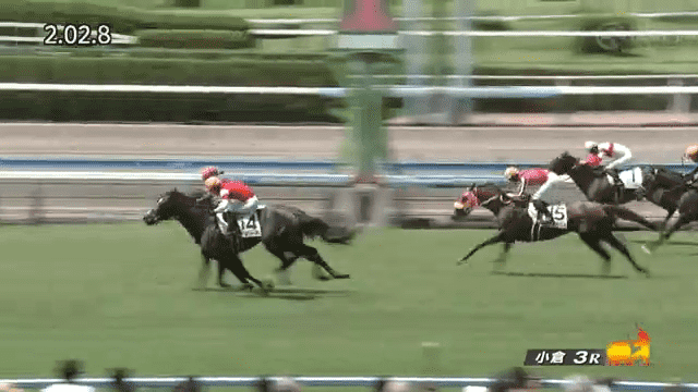 今週は人気薄のゴールドシップ。ドマーネが初の芝で変わり身見せて初勝利
