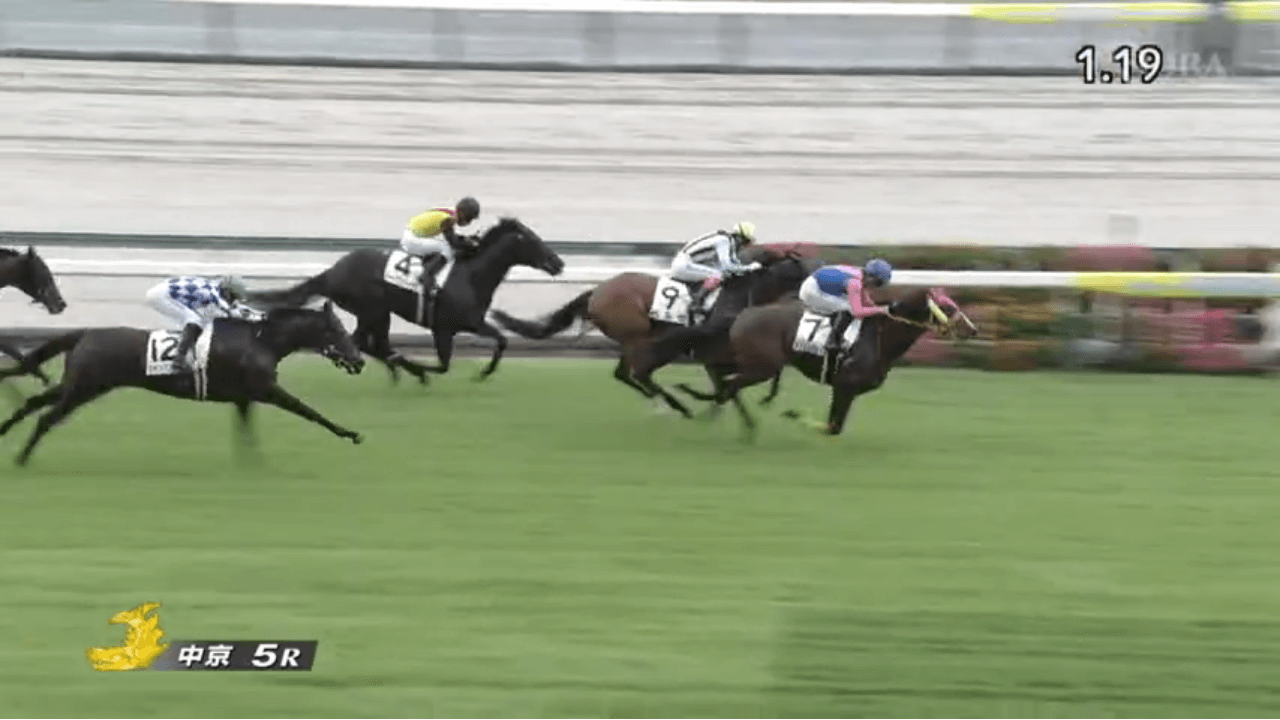 メイショウセイロウ（母アイコニック　母の父オルフェーヴル）が、綺麗に差し切って待望の初勝利